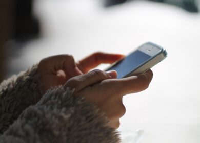 IBAMA número de atendimento WhatsApp